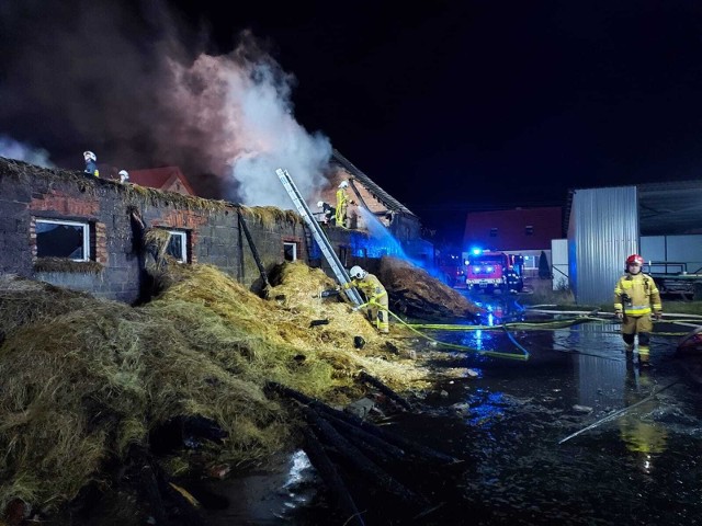 Do zdarzenia zadysponowano jednostki ochrony przeciwpożarowej z Czarnkowa, Połajewa i Krosina. Po dojeździe na miejsce zdarzenia stwierdzono, że pożarem objęta jest cała konstrukcja dachu budynku gospodarczego. Budynek mieszkalny i stodoła również były zagrożone. Przejdź do kolejnego zdjęcia --->