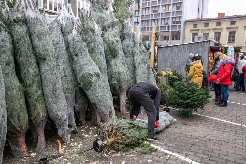 Łapanie świątecznych zakupowych ofert last minute....