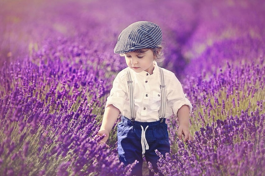 W falach fioletu fotografowie robią piękne zdjęcia...