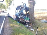Autobus zderzył się z ciągnikiem rolniczym. Jedna osoba nie żyje, wiele jest rannych [ZDJĘCIA]