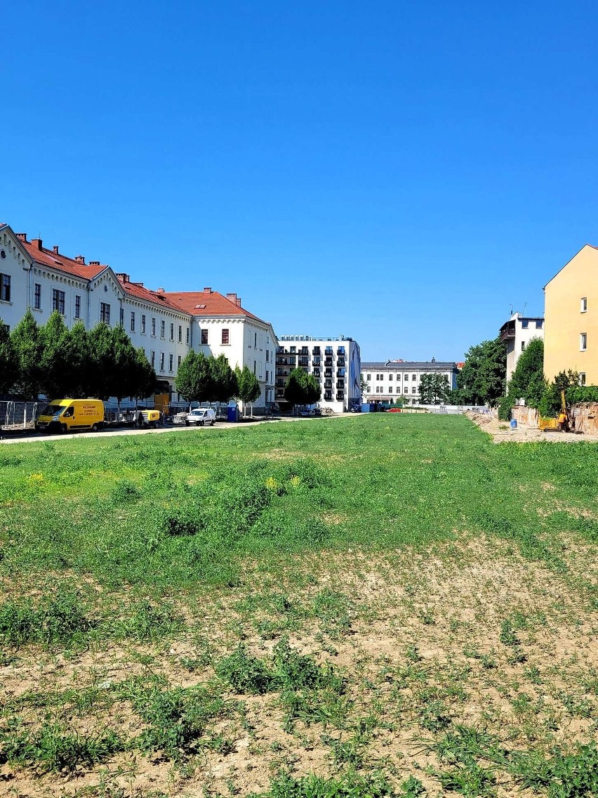 Kraków. Przy ulicy Karmelickiej był beton, zaorali i mamy... trawę!