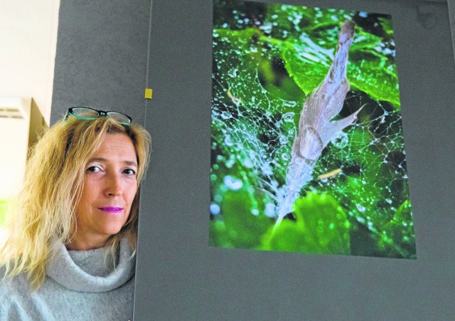 Fotografowanie wyleczyło mnie z fobii - ze strachu przed pająkami - przyznaje Małgorzata Kadysz.