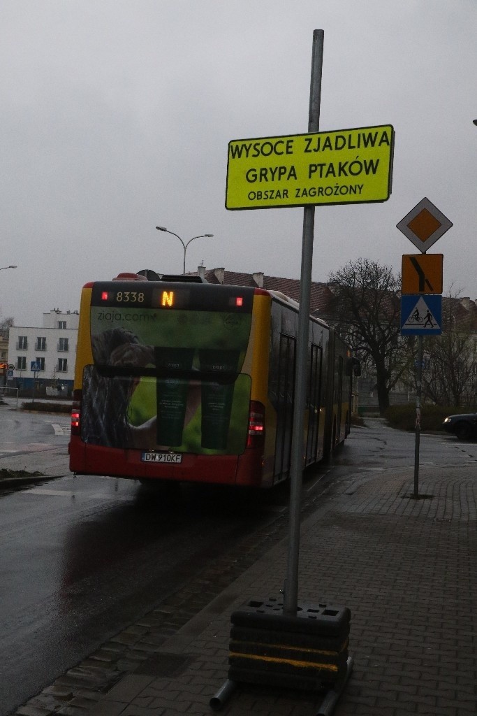 Ptasia grypa pod Wrocławiem. Część miasta zagrożona