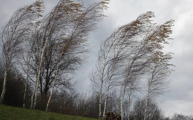 Synoptycy zapowiadają, że silny wiatr w Lubuskiem będzie wiał przez cały poniedziałek.
