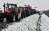 Strajk generalny rolników w powiecie pińczowskim. Droga krajowa numer była 78 zablokowana. Rolnicy przejechali z Pińczowa do Woli Żydowskiej