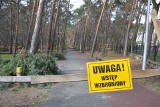 Park Saletyński w Ostrowcu wyłączony z użytku. Jest zakaz wstępu. Zobacz zdjęcia 