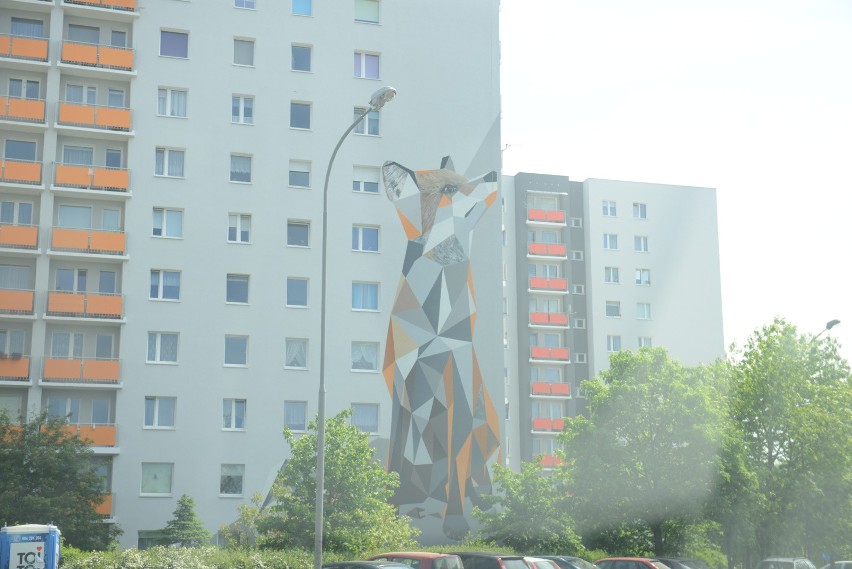 22.05.2017. zielona gora ul lisia grafiti mural murale...