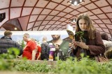 Cannafest 2016 w Pradze. Święto dla zwolenników legalizacji marihuany [ZDJĘCIA]