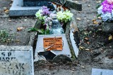 Nieopłacone groby na cmentarzach w Bydgoszczy. Widok niektórych mogił ściska za gardło [zdjęcia]