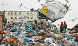 Niemiecki koncern EEW zbuduje spalarnię odpadów w Gdańsku
