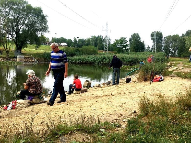 Jeziorko na Górce Środulskiej