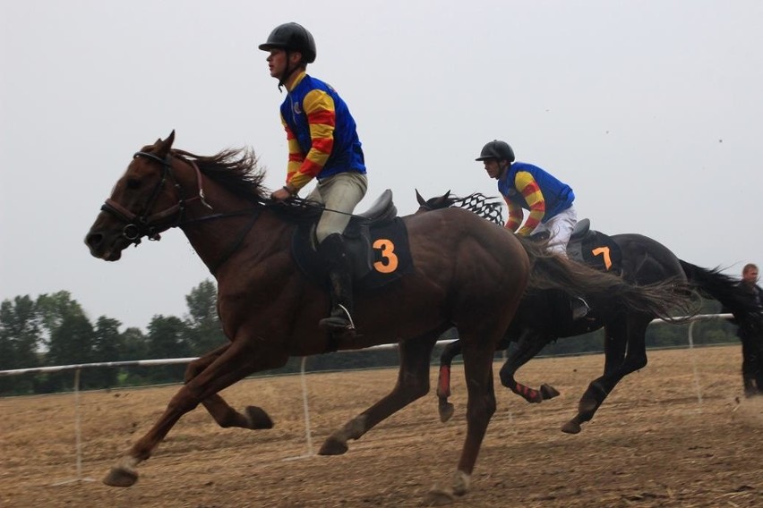 Pokazowe wyścigi konne w Udorzu