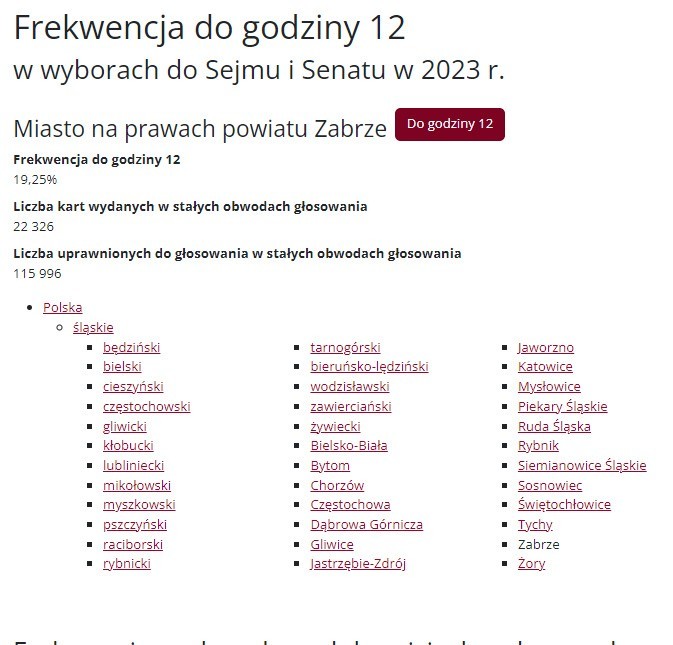 Wybory 2023 - frekwencja w województwie śląskim może być rekordowa. Jest wyższa niż cztery lata temu