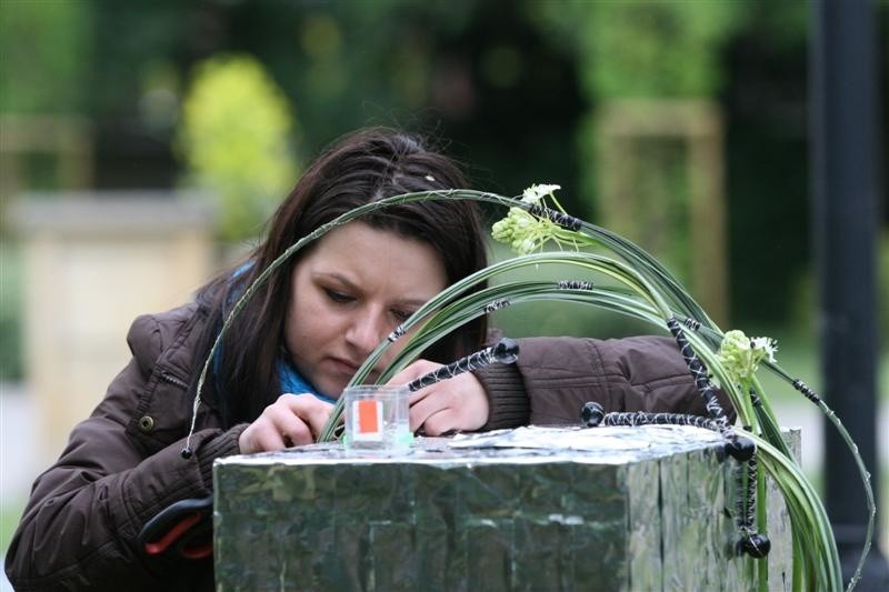 Opole - piknik na placu Wolności