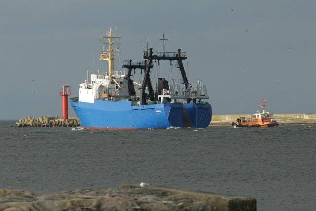 "Carmen&#8221; prawdopodobnie popłynął do litewskiego portu Kłajpeda. - Od ponad tygodnia stacjonuje tam dwanaście innych statków-kłusowników. Carmen zapewne do nich dołączy - twierdzą ekolodzy.