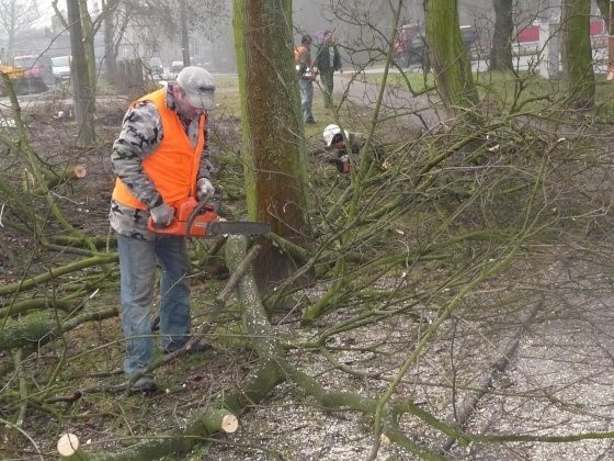 Wysuszone gałęzie poszły pod piłę. Już nie zagrażają pieszym.