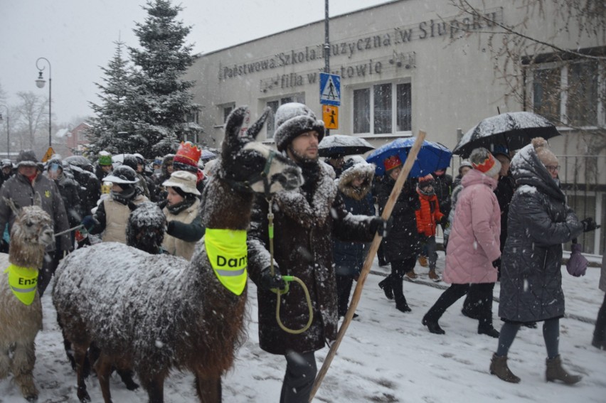 Mimo śnieżycy kilkaset osób uczestniczyło w Orszaku Trzech...