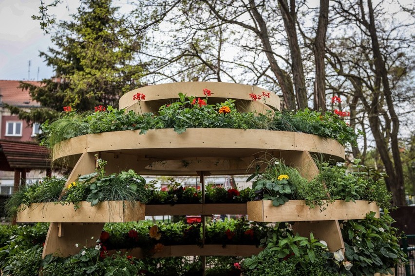 Growroom, czyli niezwykły ogród w kształcie kuli wyrósł na...