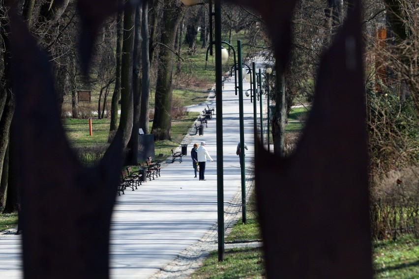 Ogród Saski w czasie najostrzejszych obostrzeń związanych z...