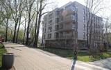 Kraków. Jak zmienia się Młynówka Królewska? Niezwykły park, obrastający... blokami i bazgrołami [ZDJĘCIA]