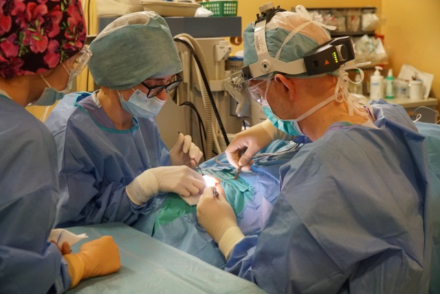 Implanty ślimakowe w Klinice Otolaryngologii i Onkologii Laryngologicznej Uniwersyteckiego Szpitala Klinicznego wszczepiane są zarówno dorosłym pacjentom, jak i dzieciom.Zobacz zdjęcia z operacji -->