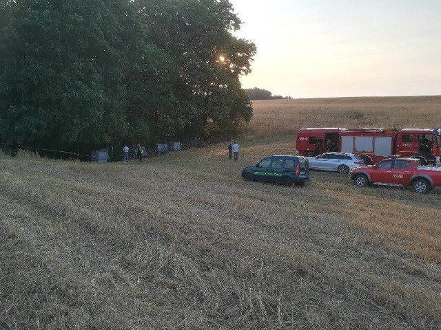 W Nadleśnictwie Kaczory (powiat pilski) znaleziono dzikie wysypisko niebezpiecznych odpadów. Z niezabezpieczonych pojemników wyciekła substancja, która skaziła teren lasu i wody gruntowe.