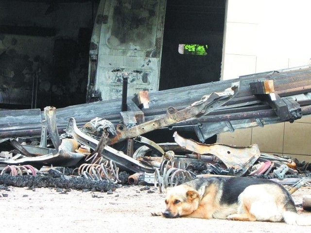 Pies Antonowiczów nie ustrzegł ich przed pożarem. Według posła Zielińskiego, ludzie sami sobie nie dadzą rady i powinni być objęci szczególną ochroną.