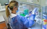 Koronawirus w Krakowie. Jak wyglądają testy na koronawirusa? Gdzie i w jakiej ilości są badane próbki od pacjentów w Małopolsce? 