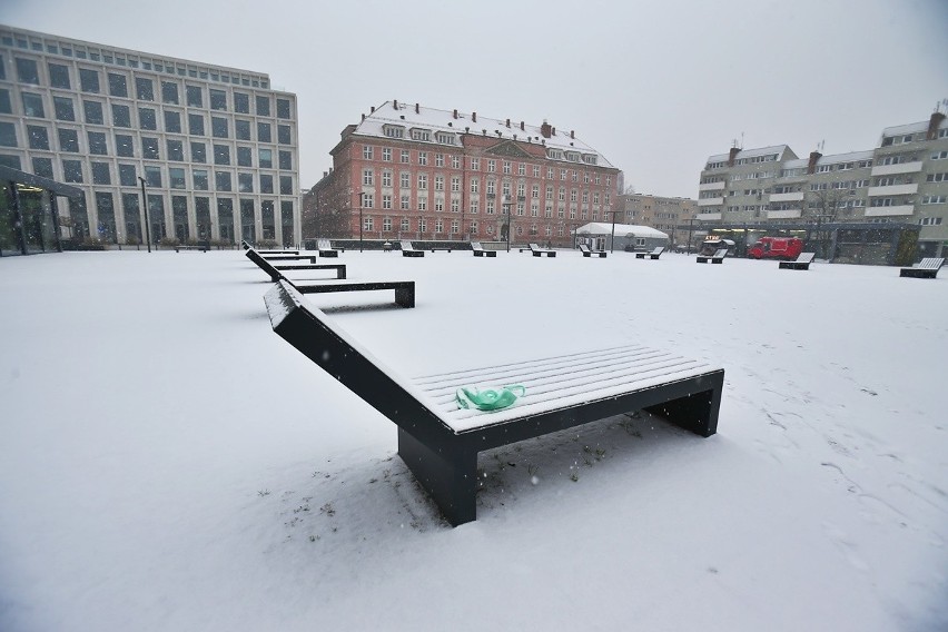 We Wrocławiu zrobiło się biało. Pierwszy śnieg w mieście w tym sezonie [ZDJĘCIA]