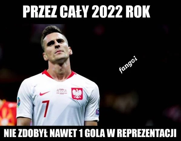 Najlepsze memy po meczu Polska - Francja...