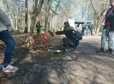 Psy z trzech schronisk poszły na wagary. Kolejna akcja, która ma ułatwić adopcje