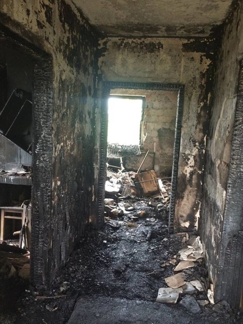 Pożar w Gogołowej: Strażak walczył o życie pieska