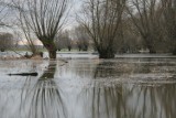 Trzeci stopień ostrzeżenia hydrologicznego IMGW w Wielkopolsce. Pozalewane są pola, łąki i rowy