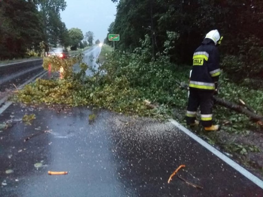 Burze w Podlaskiem. Nocne nawałnice przeszły przez województwo [21-22.06.18]. Połamane drzewa i zablokowane drogi [ZDJĘCIA]