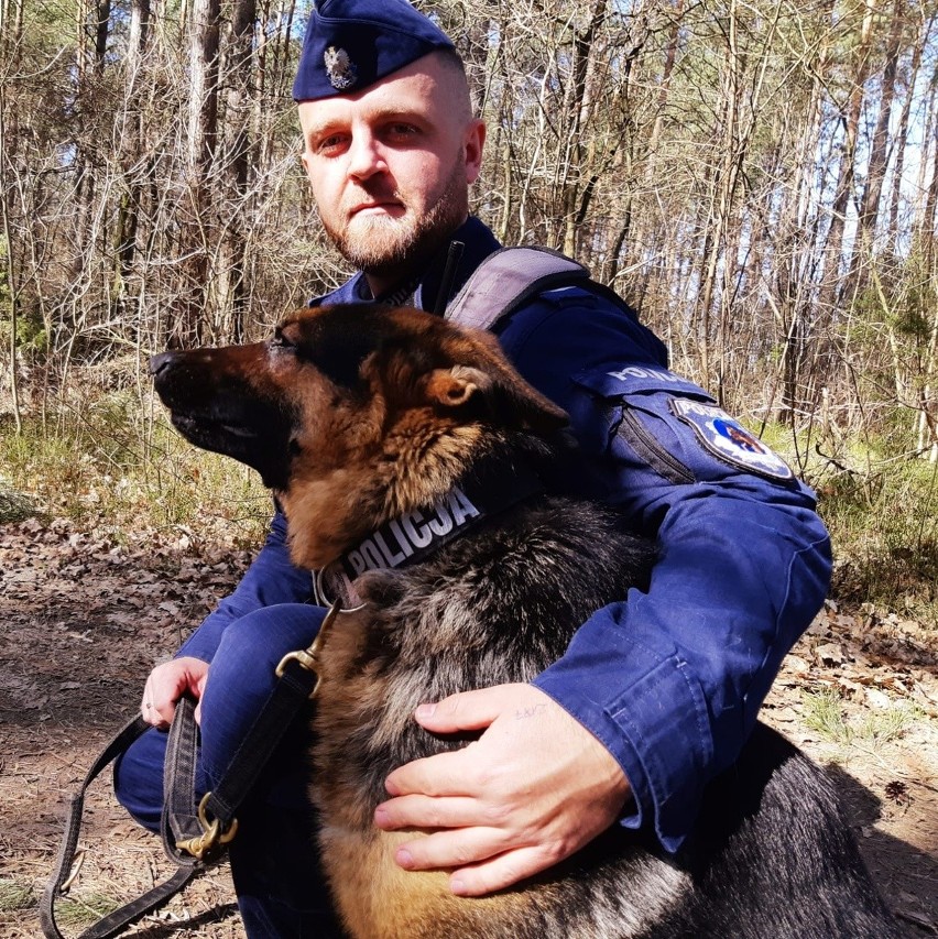 Nowy czworonożny funkcjonariusz w wysokomazowieckiej policji. Pies wabi się Pilzner i ma być postrachem przestępców [ZDJĘCIA]