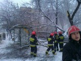 Gigantyczne korki i zablokowane drogi. Zima znów atakuje