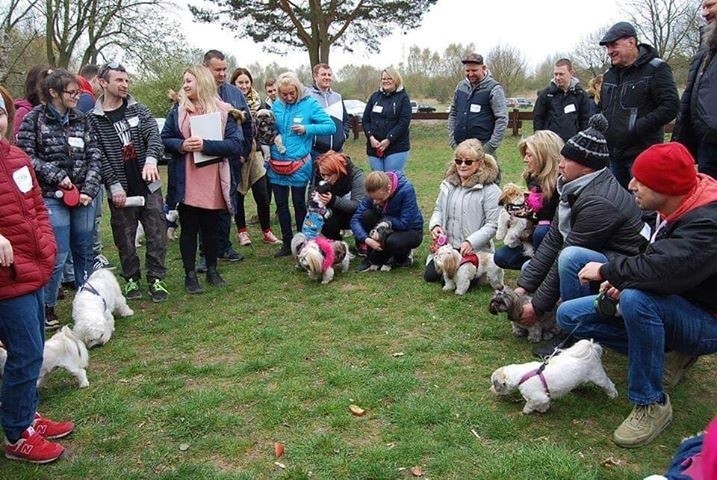 Shih tzu ze Szczecina i ich właściciele spotkali się nad Jelenim Stawem. Było wesoło! 