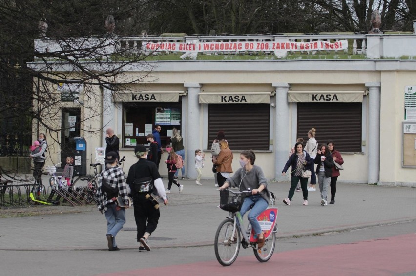 W majówkę warto wybrać się do Parku Śląskiego