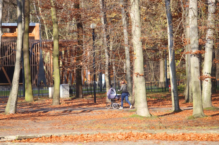 Jesień w parku w Parku Kultury i Wypoczynku w Gliwicach....