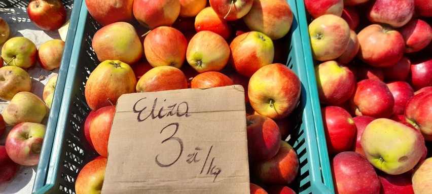 Jabłko "Eliza" w cenie 3 złotych za kilogram.