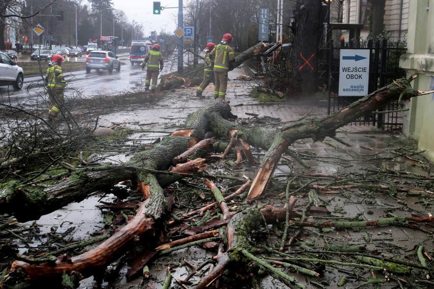 Powalone drzewa w mieście po wichurze 17.01.2022