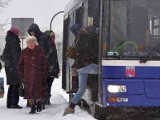 Bydgoszcz. Autobus 54 wraca na  starą trasę i plac Teatralny