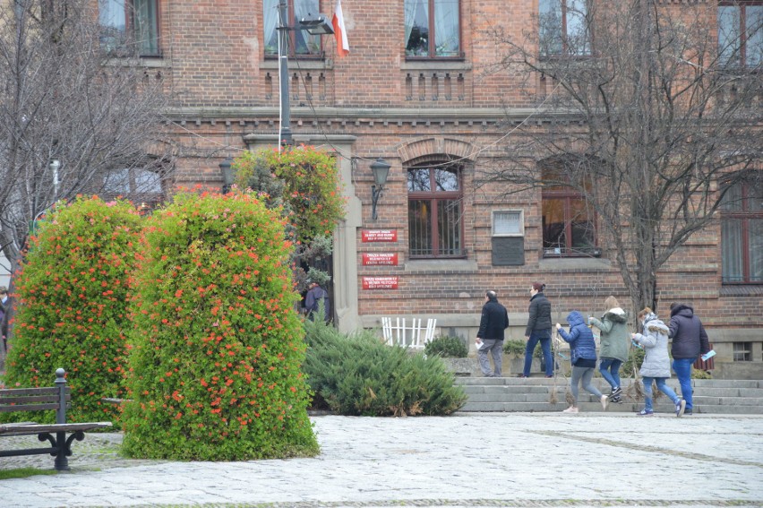 Powiat Myślenicki. Z myślą o pszczołach