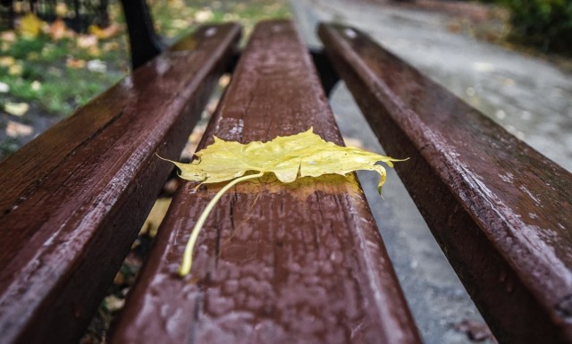 W kolejnych dniach nadal możliwe słabe opady deszczu, ale zrobi się cieplej