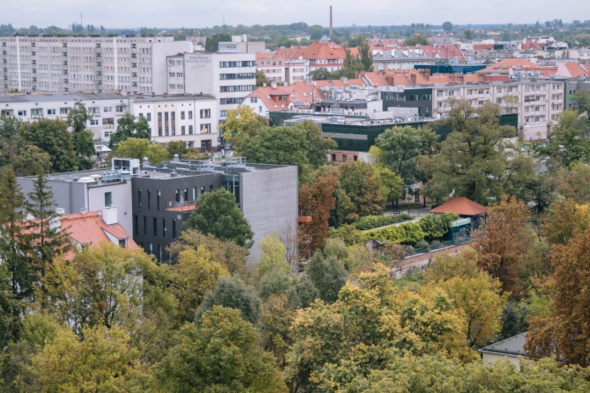 W ciągu ostatnich pięciu lat posadzono w Opolu aż 15 tys....