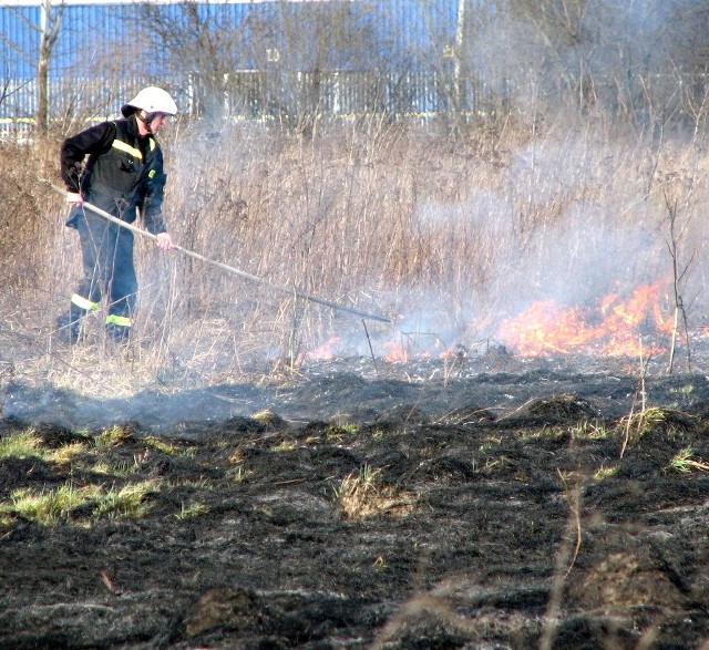 Koszt wyjazdu zastępu strażaków do jednej akcji gaszenia traw to wydatek ok. 500-600 zł
