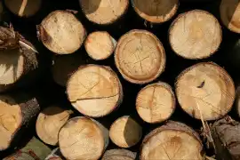 Skutki palenia mokrym drewnem