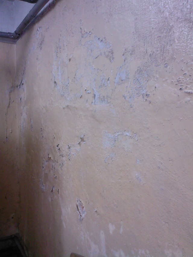 Ściana zniszczona przez związki soliPrzykład migracji wilgoci w strukturę ściany zewnętrznej - odspojenia powłoki malarskiej