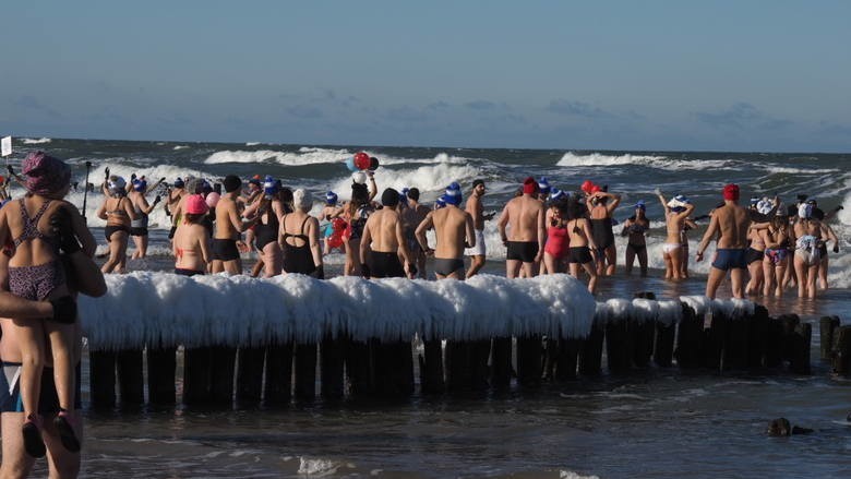 Morsy chwalą się zdjęciami na Instagramie. Kąpiele w zimnym Bałtyku robią furorę [ZDJĘCIA]