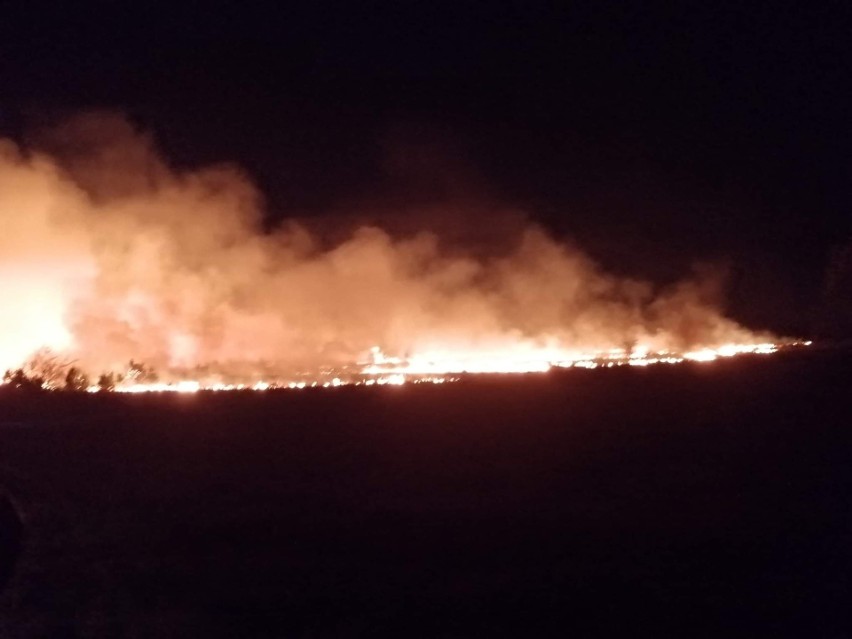 Pożar trawy i nieużytków rolnych we Włodowicach.